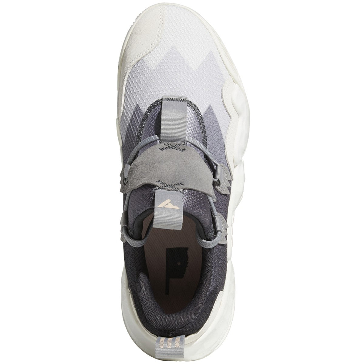 adidas Trae Young 1 Mens Basketball Shoes