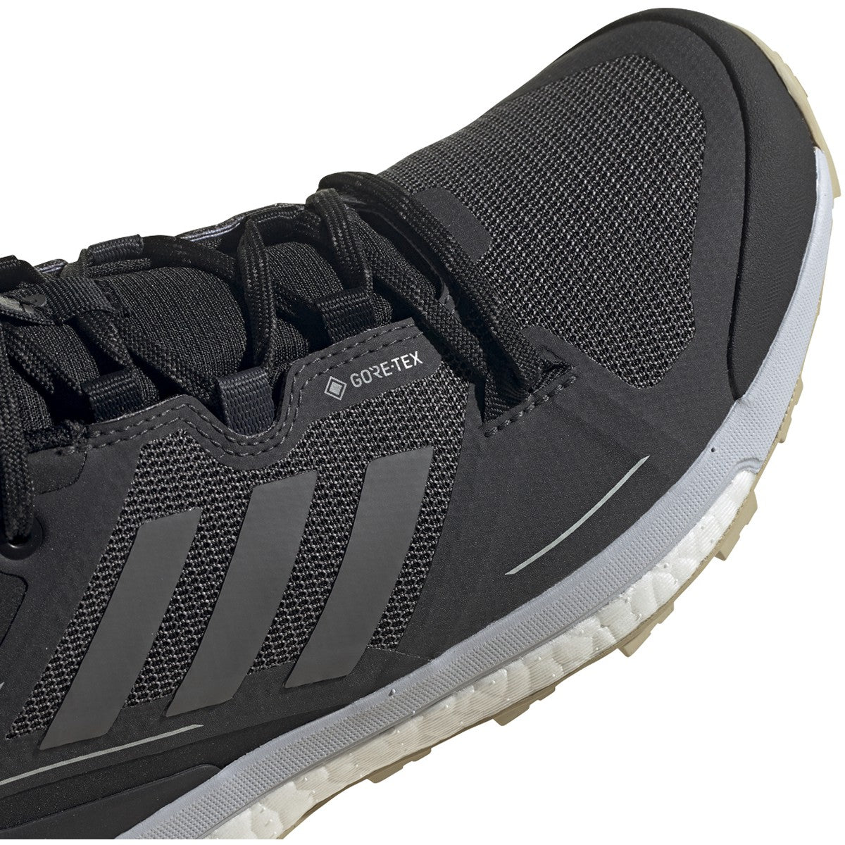 adidas Terrex SkyChaser 2 GTX Shoe - Womens Hiking