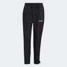 adidas Terrex Multi Rain.Rdy Primegreen Two-Layer Pants - Mens Hiking