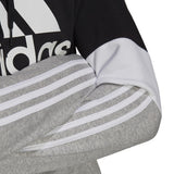 adidas Essentials Fleece Colorblock Hoodie - Mens Casual