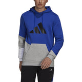adidas Sportswear Colorblock Hoodie - Mens Casual