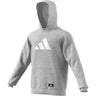 adidas Future Icons Hoodie - Mens Casual