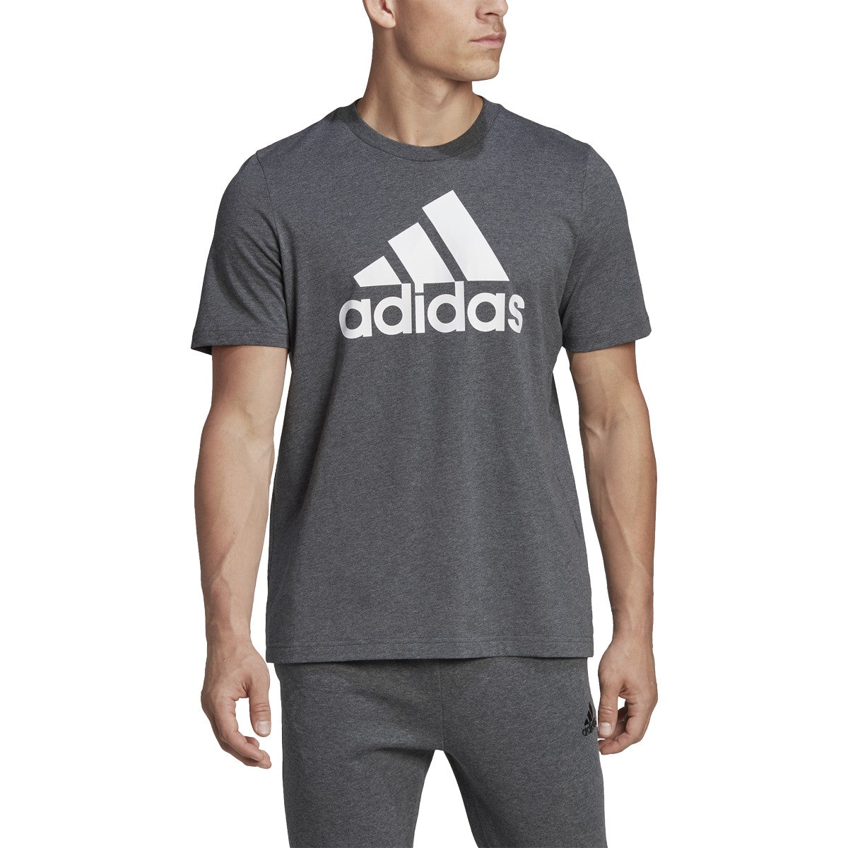 adidas Essentials Big Logo T-Shirt - Mens Casual